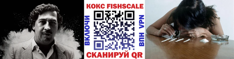 где продают наркотики  Холм  COCAIN Fish Scale 