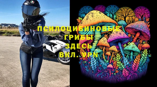 apvp Алексеевка