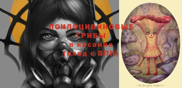 apvp Алексеевка