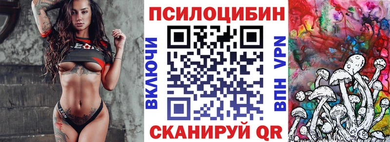 Псилоцибиновые грибы Psilocybine cubensis Холм